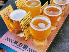 -Boxing Cat Brewery拳击猫精酿啤酒馆(永福店)