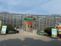 -苏州太湖西山岛开心农场