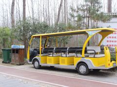 -合肥滨湖国家森林公园