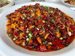 -院8里·小聚园老川菜(九眼桥店)