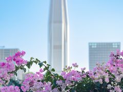 -莲花山公园
