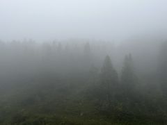 -武陵山森林公园