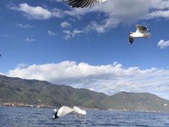 -丽江泸沽湖景区