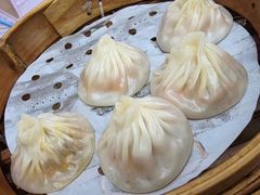 -莱莱小笼·乔艾