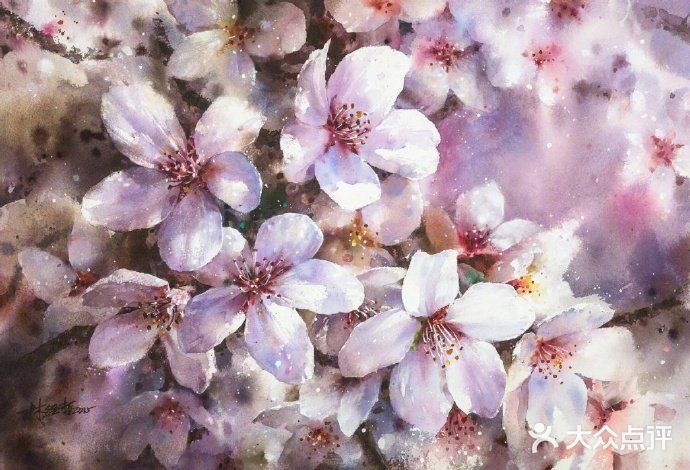 台湾画家林经哲樱花水彩画作品欣赏[礼花][礼花]