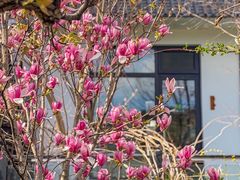 -丽泽山庄·生态怀柔菜·虹鳟鱼(红螺寺店)