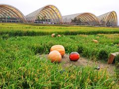 -中国天府农业博览园