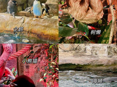 -香港海洋公园