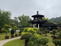 -扬州大运河文化旅游度假区·盆景园