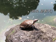 -徐家汇公园