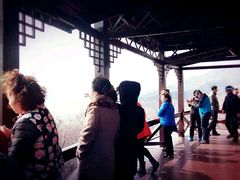 -高家大院烤全羊