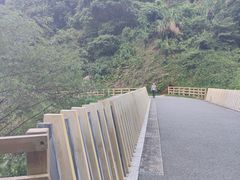 -阳台山森林公园