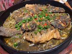 -老板恋上鱼(恒隆广场店)