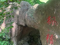 -天女山森林公园