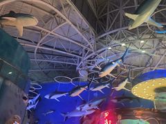 -烟台海昌鲸鲨海洋公园