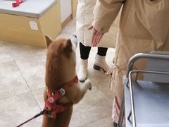 -美联众合动物医院·24h转诊中心