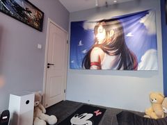 -浣熊部落ps4 ps5 switch 电玩(茶店子店)