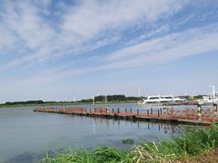 -莲花岛景区
