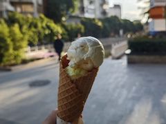-成裕雪糕店(士多店)