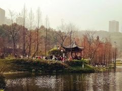 -重庆彩云湖湿地公园