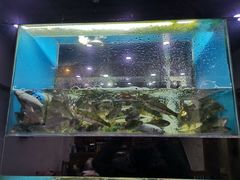 水产区-全乐鱼馆·淳牌有机鱼直营店
