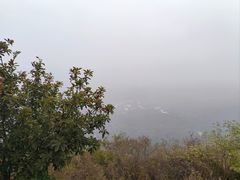 -北京鹫峰国家森林公园