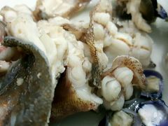 -凯华海鲜火锅·传承三十六年