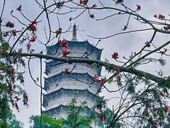 -深圳国际园林花卉博览园