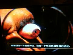 -信不信由你博物馆