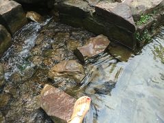 -黄河小浪底水利枢纽风景区