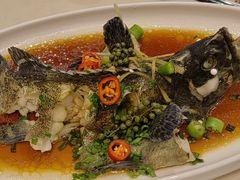 -海悦汇•闽菜•蒸汽海鲜(合景峰汇商务广场店)