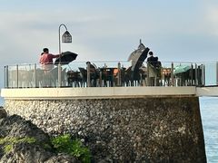 -Rock Bar Bali(Bali)