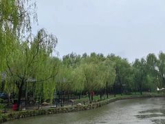 -杨柳青庄园