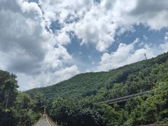 -西双版纳原始森林公园