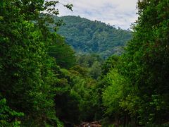 -广州白江湖森林公园