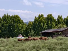 -姜胖胖无限自助烤肉(弹子石店)