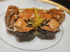 -新光酒家·河豚·海鲜·蟹料理(浦东店)