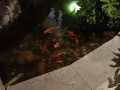 -顺峰(农展馆店)