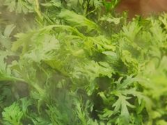 -匠牛亭·锅物烧肉放题自助(昆百大·泰业城店)