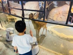 -酷嗒动物文化乐园(cutezoo西溪乐天城店)