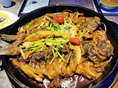 -老板恋上鱼(恒隆广场店)