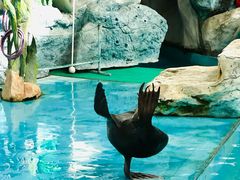 -上海野生动物园