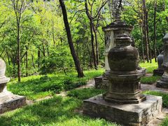 -北京上方山国家森林公园