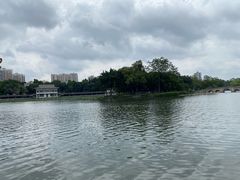 -荔湾湖公园