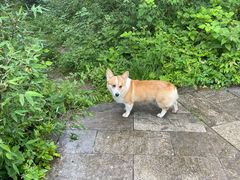 -牛背梁国家森林公园