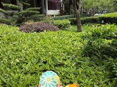 -稻香村(观前街店)