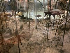 -浙江自然博物院(杭州馆)