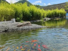 -中国宣纸文化园