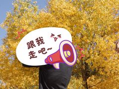 -金塔沙漠胡杨林景区