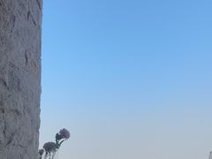 -22ºN BISTRO西餐&酒馆(石奥商业街店)